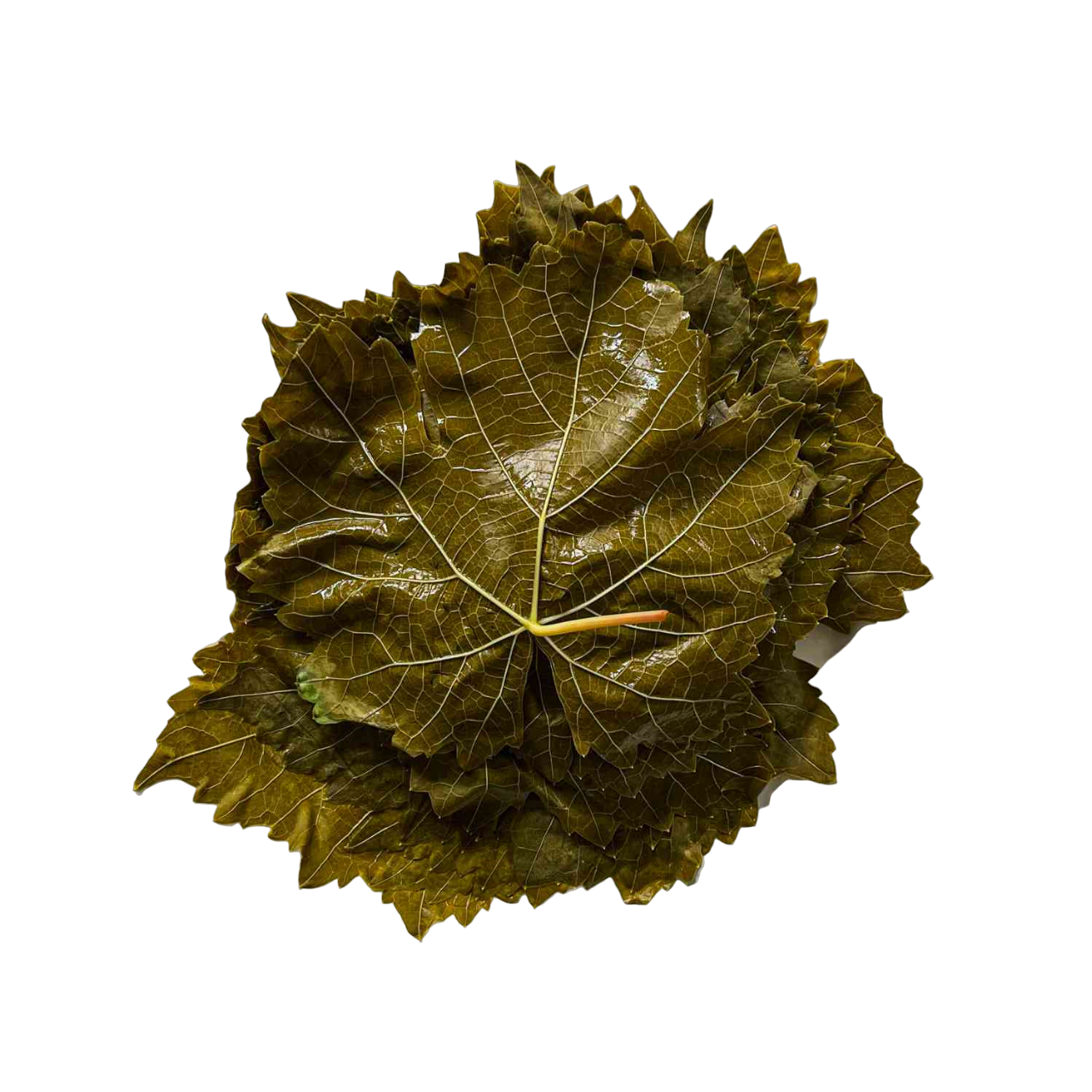 Grape Leaves Darna